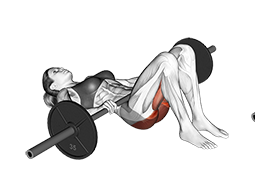 Illustration of Glute Bridge (Barbell) exercise