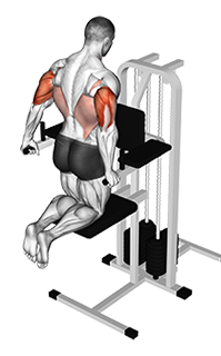 Illustration of Triceps Dip (Assisted) exercise