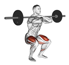 Front Squat (Barbell)