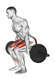 Illustration of Hack Squat (Barbell) exercise
