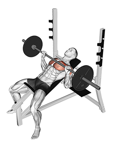 Incline Bench Press (Barbell)