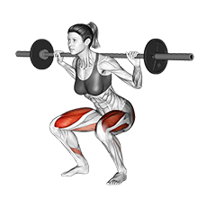 Squat (Barbell)