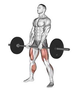 Sumo Deadlift (Barbell)