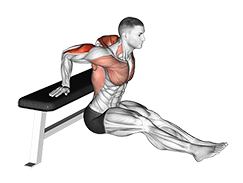 Illustration of Bench Dip exercise