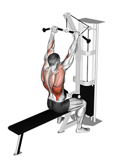 Illustration of Lat Pulldown (Cable) exercise