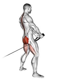 Illustration of Cable Pull Through exercise