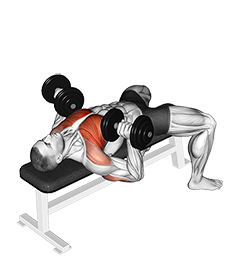 Illustration of Bench Press (Dumbbell) exercise