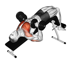 Illustration of Decline Bench Press (Dumbbell) exercise