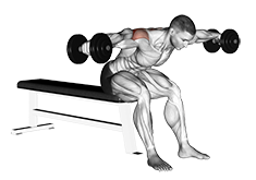 Illustration of Reverse Fly (Dumbbell) exercise