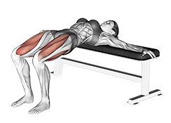 Illustration of Hip Thrust (Bodyweight) exercise