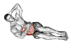 Illustration of Oblique Crunch exercise
