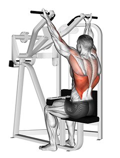 Illustration of Lat Pulldown - Reverse grip (Machine) exercise