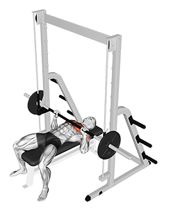 Bench Press (Smith Machine)