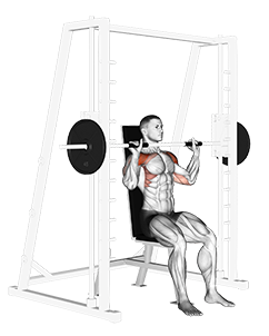 Illustration of Seated Overhead Press (Smith Machine) exercise