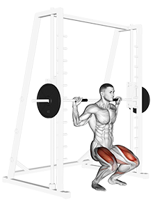 Squat (Smith Machine)