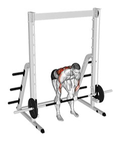 Illustration of Bent Over Row (Smith Machine) exercise