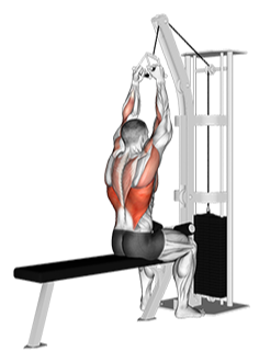Illustration of Lat Pulldown (V-bar) exercise